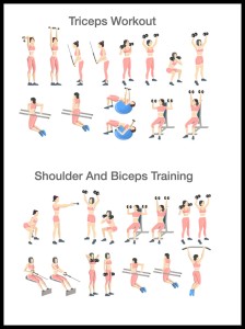 Triceps i biceps w ramcee 1.jpg