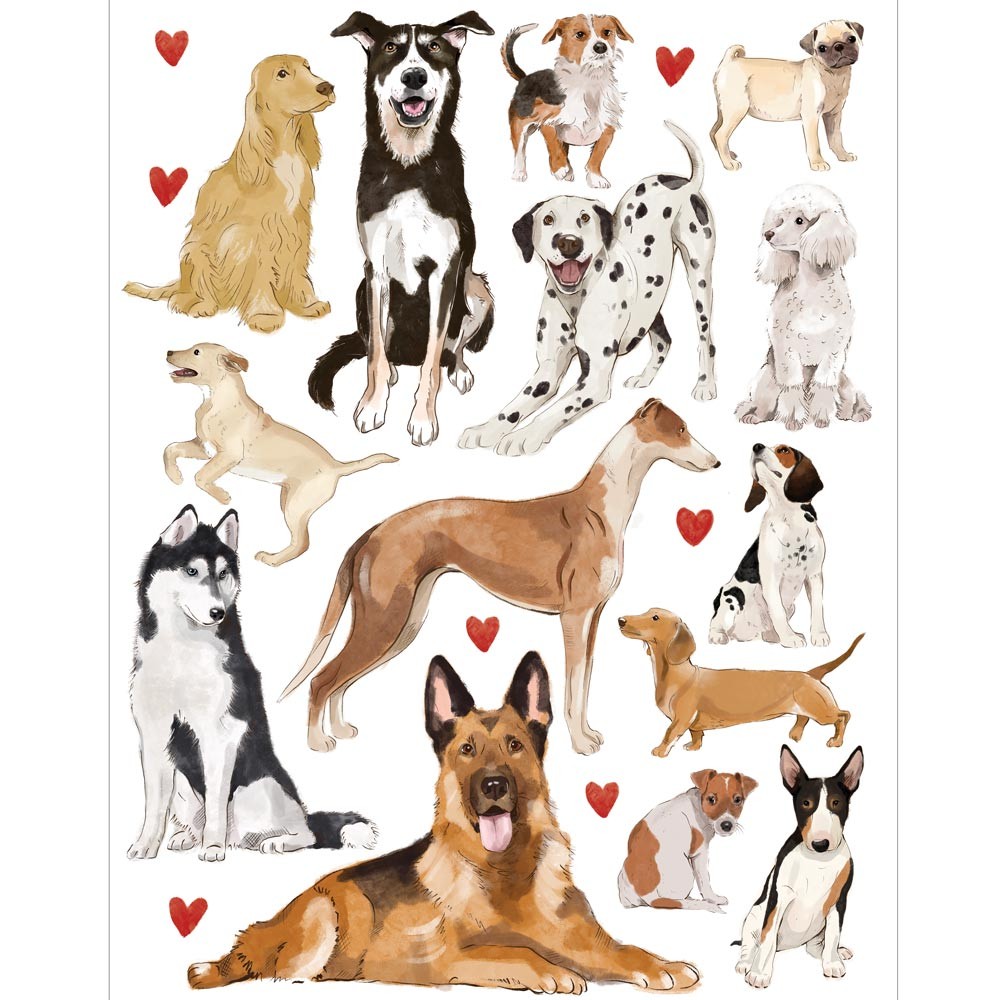 dogs_packshot.jpg