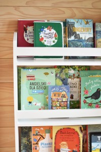 Biblioteczka szeroka głęboka 3.jpg