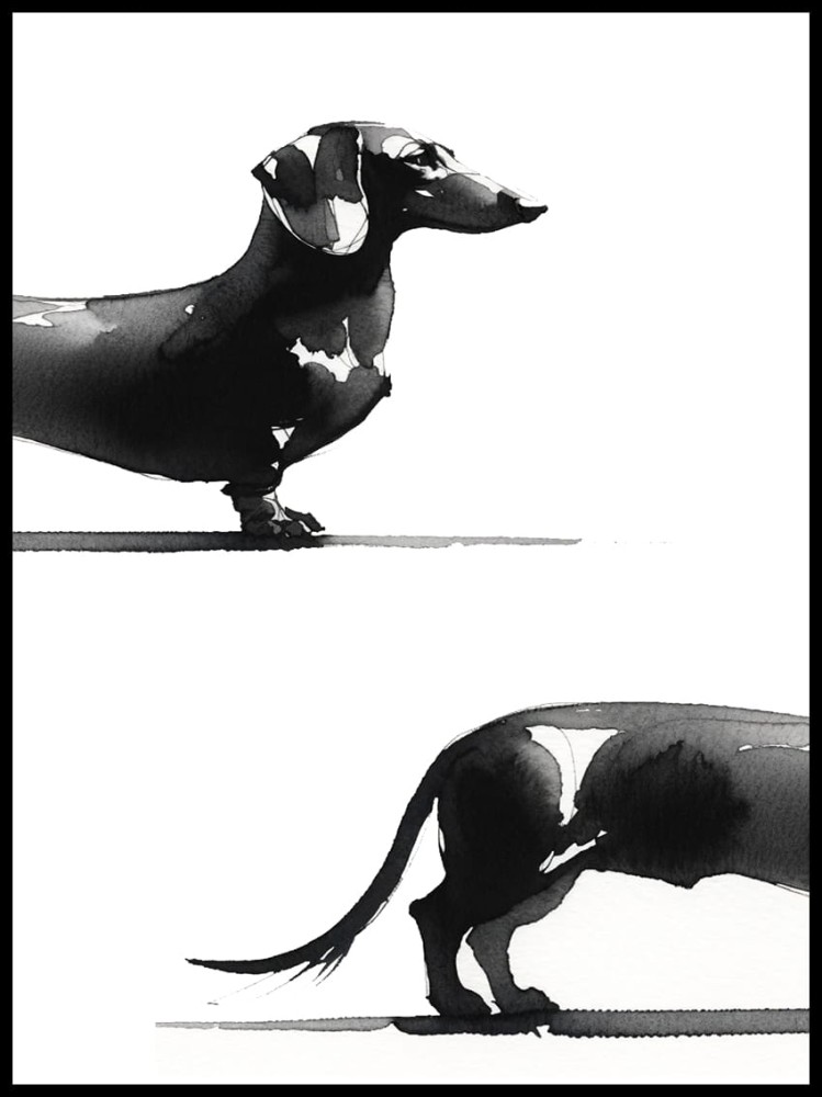 Jamnik w ramcee 1.jpg