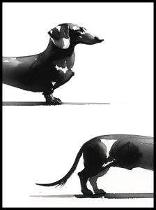 Jamnik w ramcee 1.jpg