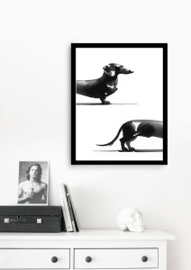 jamnik wizualizacja.jpg