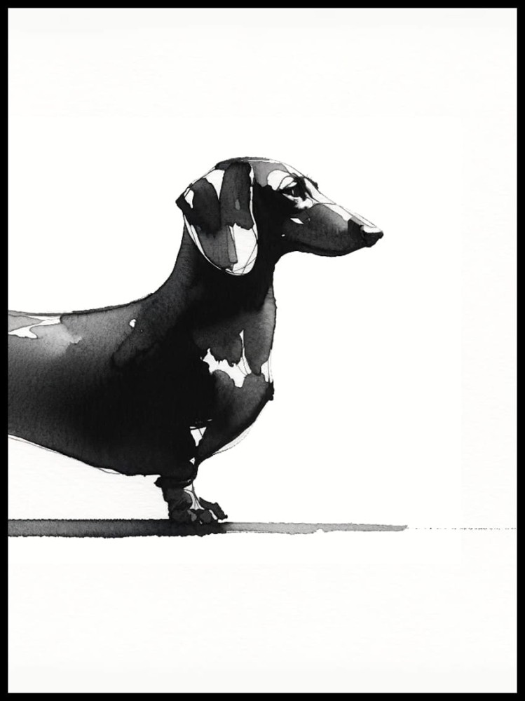 Jamnik 1 w ramcee 1.jpg