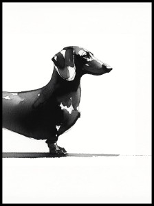 Jamnik 1 w ramcee 1.jpg