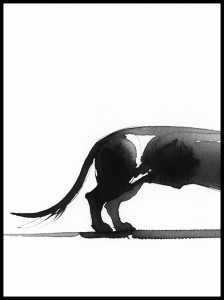 Jamnik 2 w ramcee 1.jpg