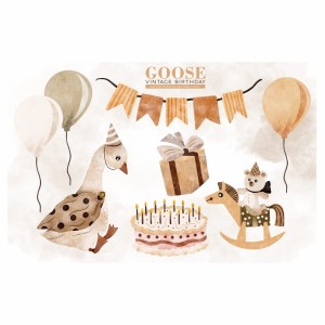 goose-vintage-birthday-naklejki-do-pokoju-dziecka-zestaw-5 (2).jpg
