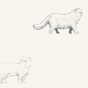 szkic koty 2.jpg