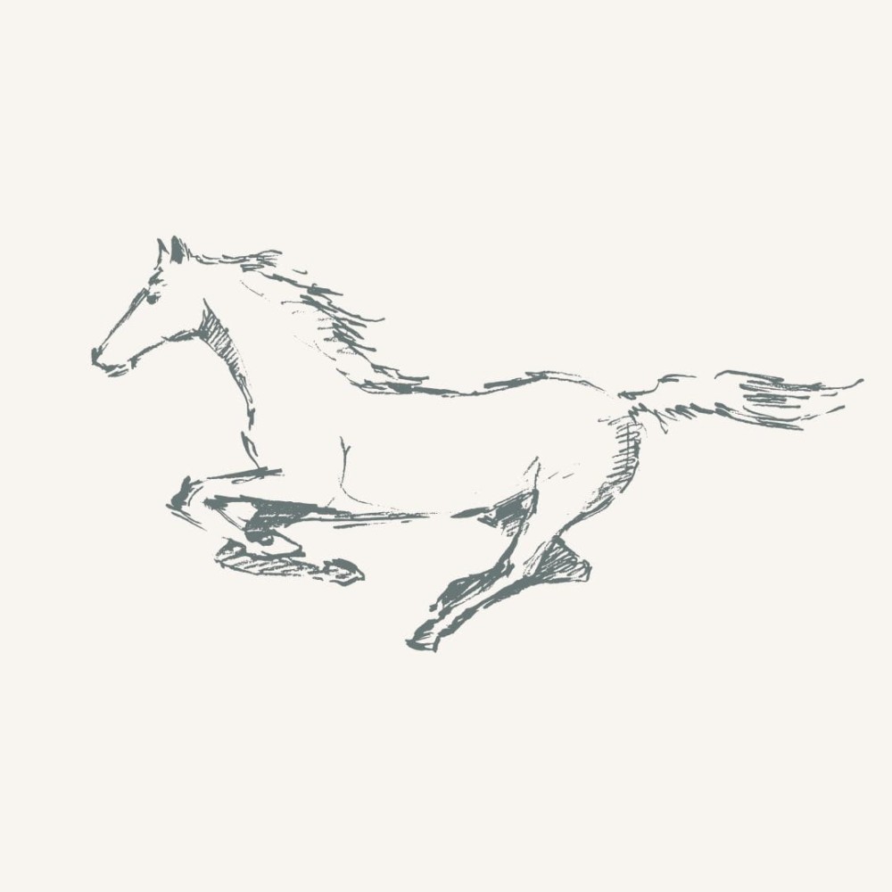 szkic konie 2.jpg