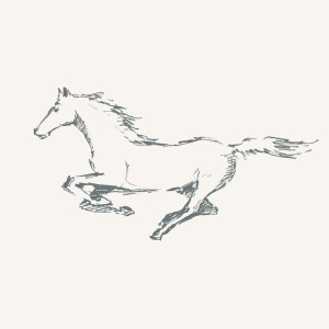 szkic konie 2.jpg