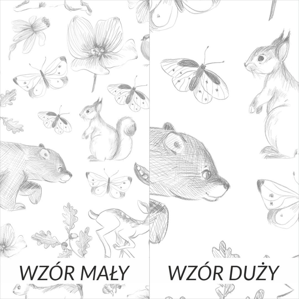 zwierzęta w lesie 1.jpg