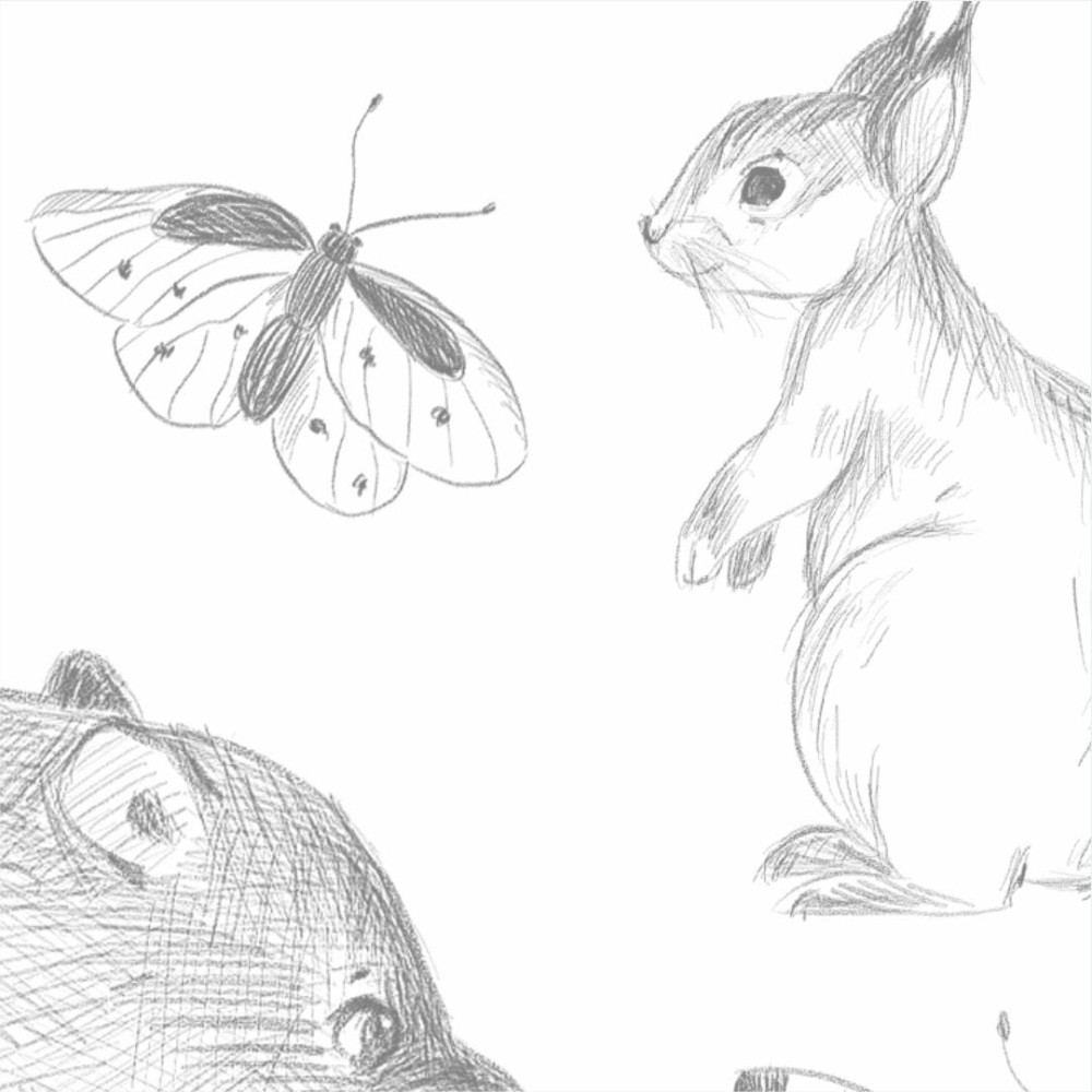 zwierzęta w lesie 3.jpg