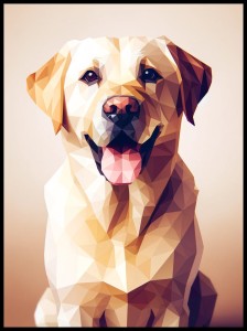 Labrador w ramcee 1.jpg