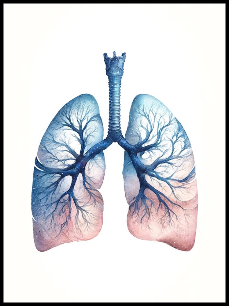 płuca w ramcee 2.jpg