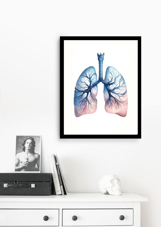 Płuca wizualizacja 2.jpg