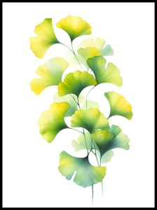 Liście Ginko w ramcee 1.jpg