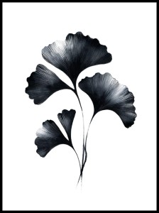 Liść Ginko w ramcee 1.jpg