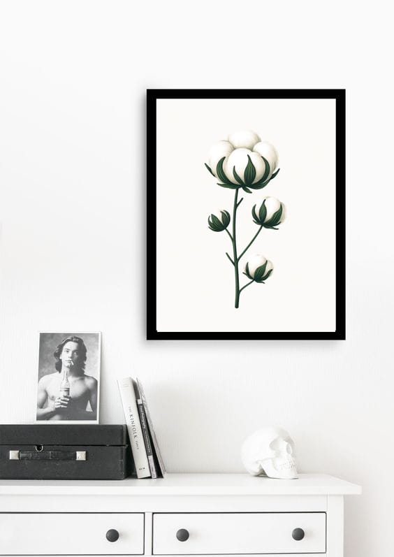 Bawełna wizualizacja.jpg