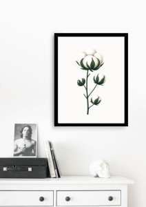 Bawełna wizualizacja.jpg