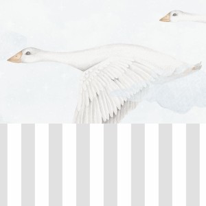 Lamperia gąski 2.jpg