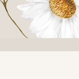 Rumianek Lamperia Gładka Beżowa 2.jpg