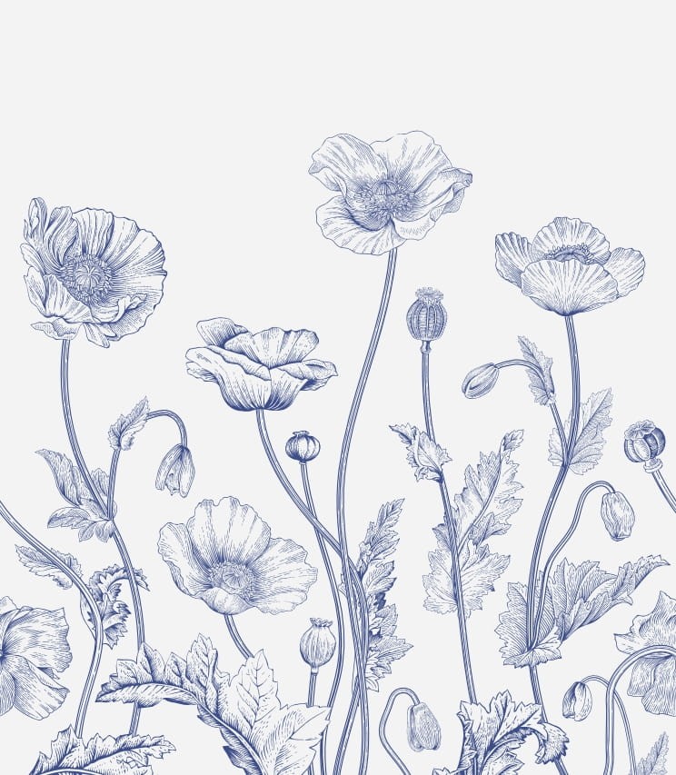 Tapeta-blue-and-white-poppies.jpg