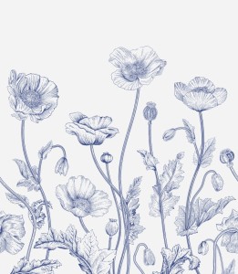Tapeta-blue-and-white-poppies.jpg
