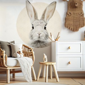 Królik w kółku bezowym.jpg