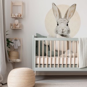 Królik w kółku bezowym 1.jpg