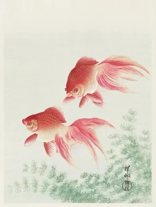 Plakat, Ohara Koson Two veil goldfish (1926)