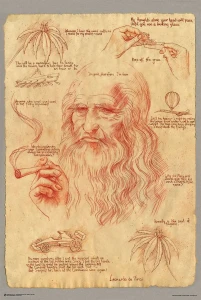 Anatomia Leonardo da Vinci joint