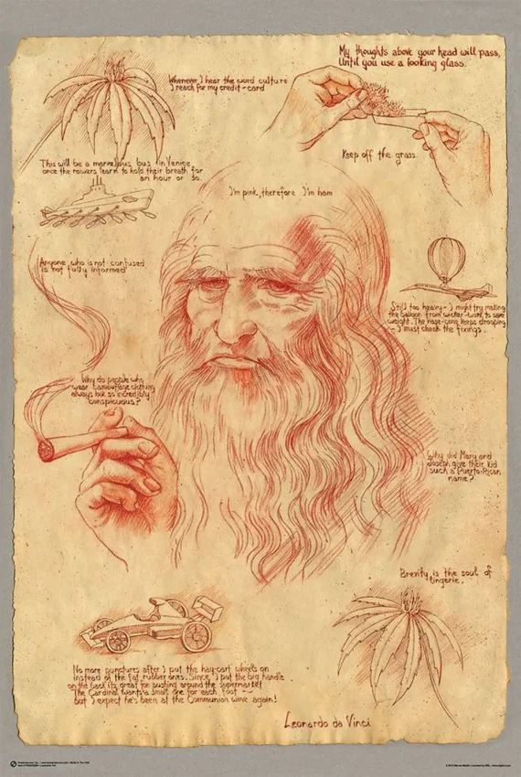 Anatomia Leonardo da Vinci joint