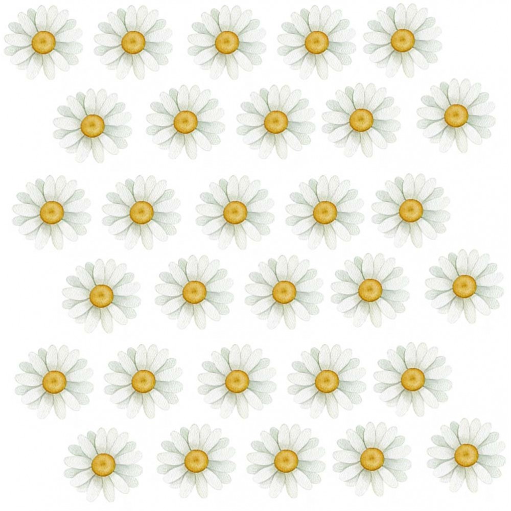 stokrotki-boho-naklejka-na-sciane-dla-dzieci-naklejki-na-sciane-dla-dziewczynki (1).jpg