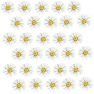 stokrotki-boho-naklejka-na-sciane-dla-dzieci-naklejki-na-sciane-dla-dziewczynki (1).jpg