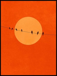 Ptaki czerwone w ramcee 1.jpg