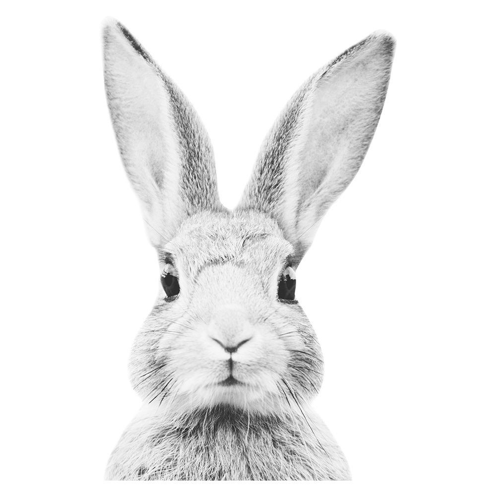 Naklejka na ścianę Królik bardzo duży XXL szary