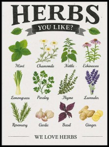 Rodzaje ziół w ramcee 1.jpg