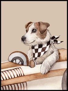 Plakat, Pies na wyścigu Jack Russell Terrier 4rooms