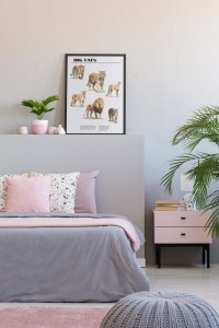 Plakat, Gatunki kotów 4rooms.com.pl