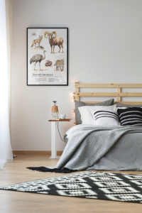 Plakat, Zwierzęta pustyni - gatunki 4rooms.com.pl