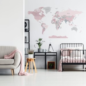 Mapa świata różowa2.jpg