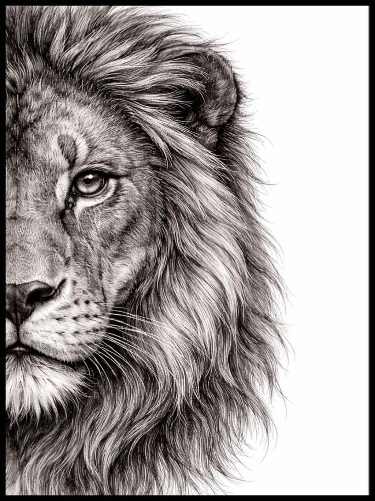 Lew 1 w ramcee 1.jpg