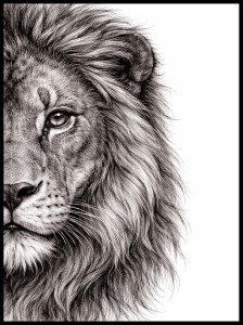 Lew 1 w ramcee 1.jpg