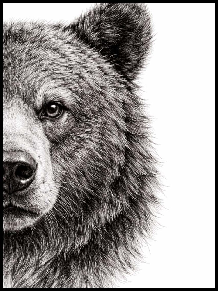 Plakat, Niedźwiedź - połowa 4rooms