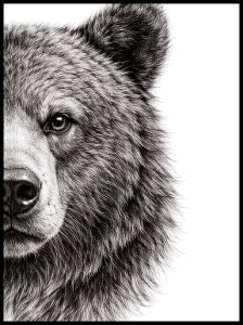 Plakat, Niedźwiedź - połowa 4rooms