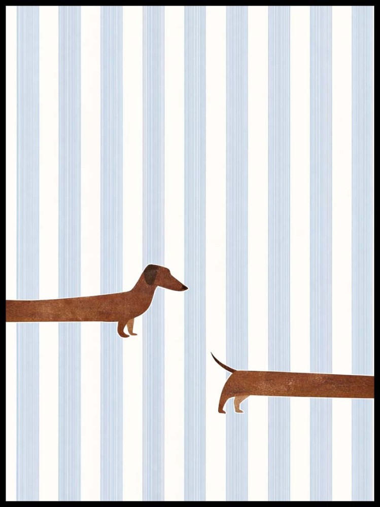 Plakat Pies, Jamnik w paski 4rooms