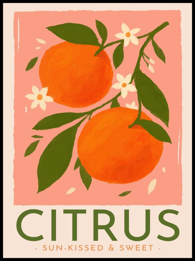 Plakat Citrus – plakat z pomarańczami do kuchni | 4rooms