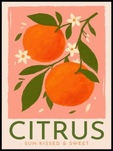 Plakat Citrus – plakat z pomarańczami do kuchni | 4rooms