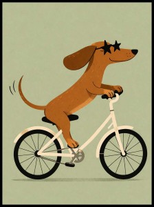 Plakat Pies, Jamnik na rowerze