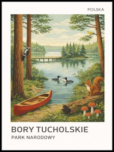 Plakat, Bory Tucholskie