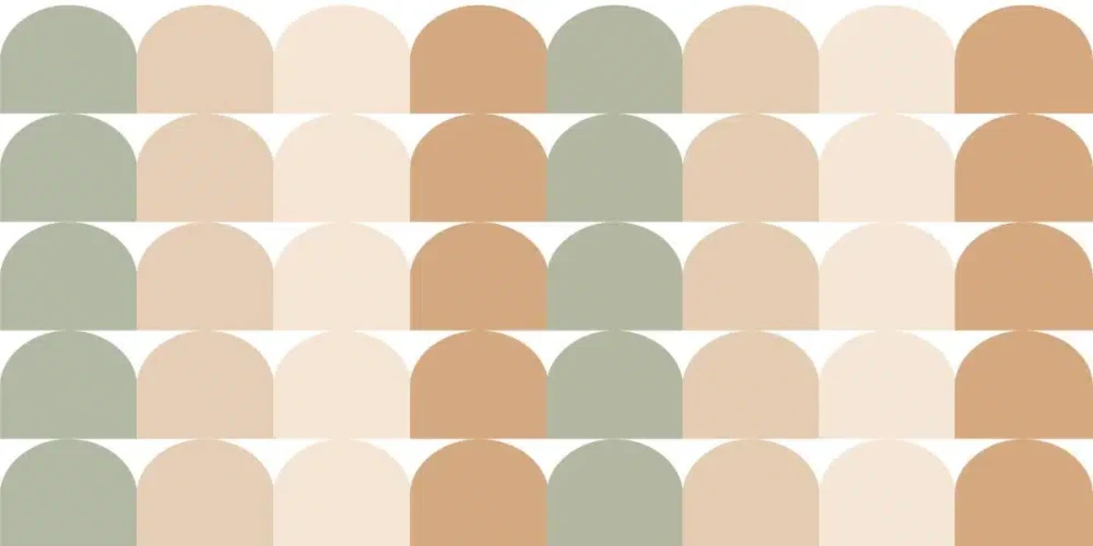 31050.webp